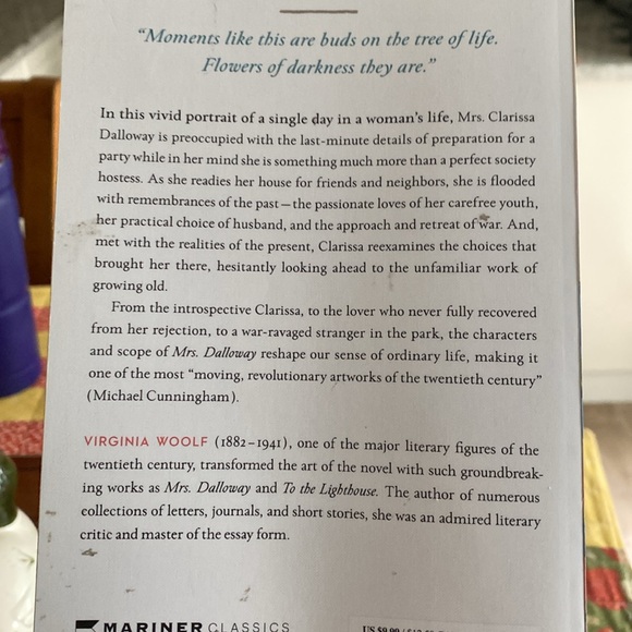 Novel by Virginia Woolf - Picture 2 of 3